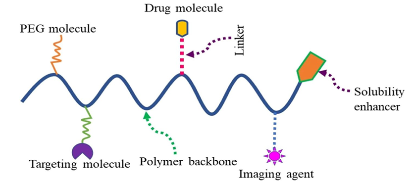 Representation of polymer-drug conjugate for multipurpose use.
