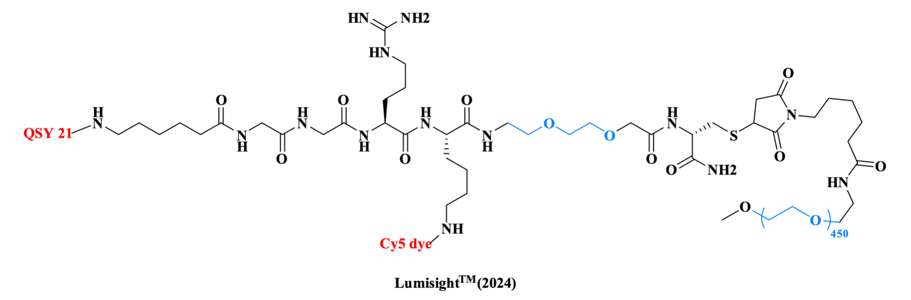 The structure of Lumisight.