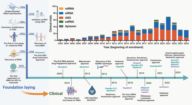 Figure 1. Timeline of milestones from the discovery of small nucleic acid drugs to their clinical use.
