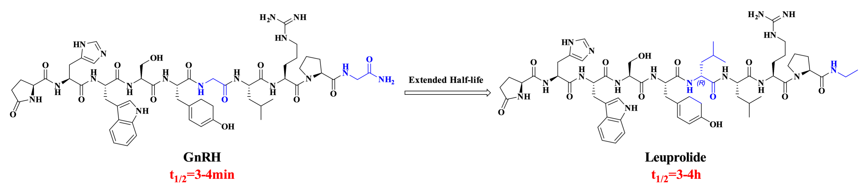 Figure 2. UAAs peptides with Extended Half-life.