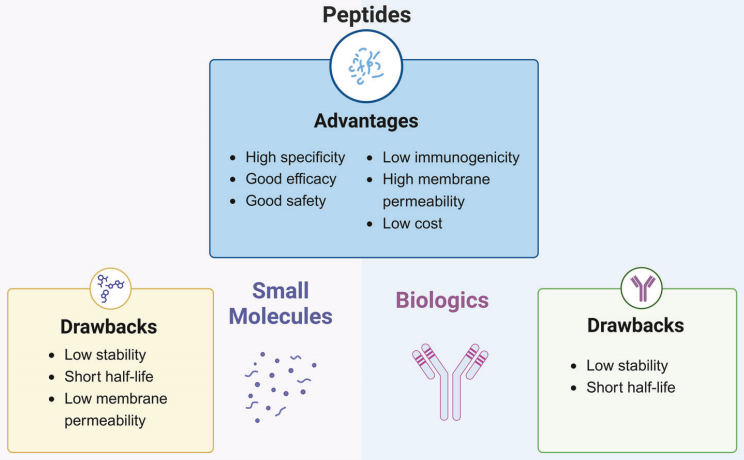 Figure 1. Advantages of peptide therapeutics compared with small molecules and biologics [1].