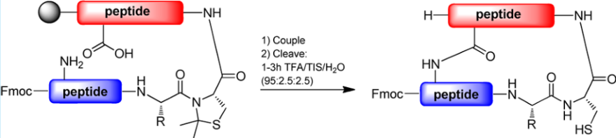 Figure 4. TFA-mediated deprotection of a cysteine-containing pseudoproline peptide [2].
