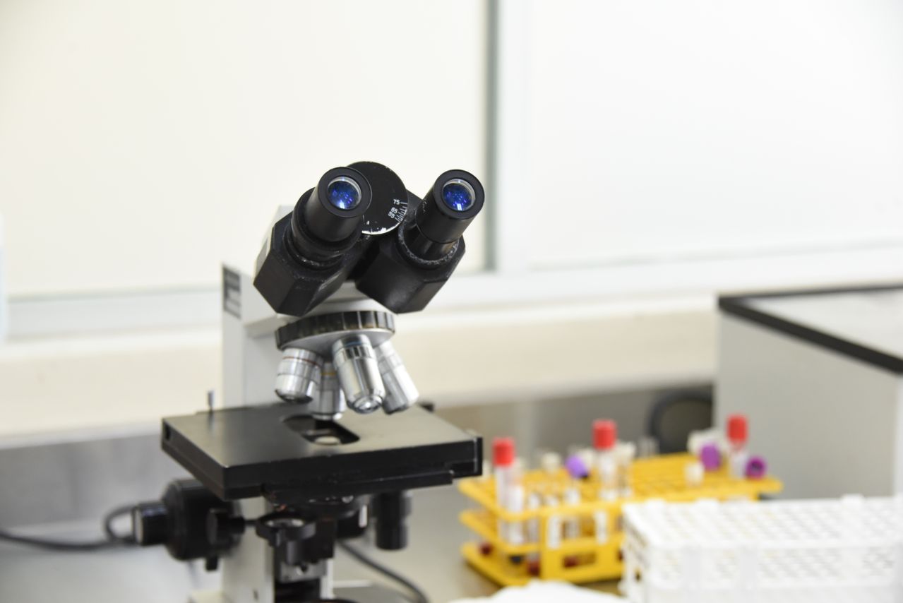 Best Amino Acid Modifications That Boost Peptide Drug Stability